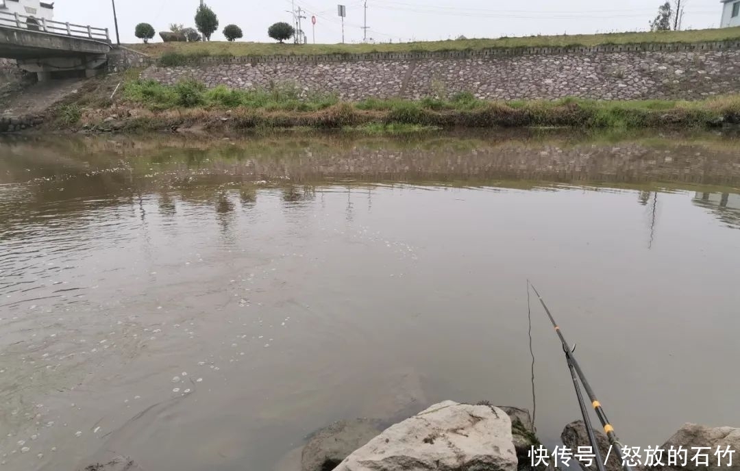鲤鱼|夏季野钓别老盯着深水！这几个地方也藏大鱼，我替你们试过了
