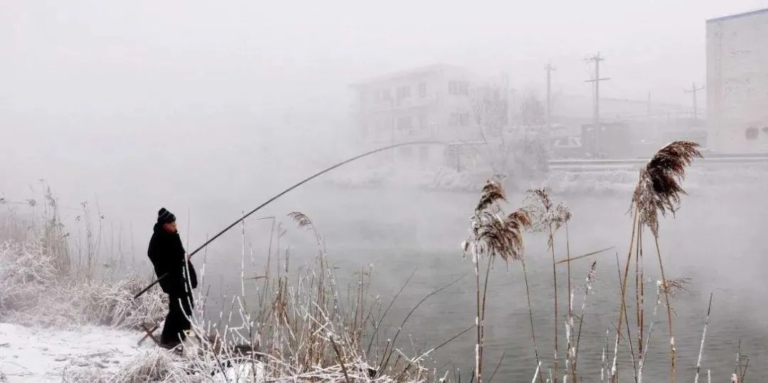 钓鱼|冬季钓鲫鱼,钓深还是钓浅?选错就是浪费窝料浪费钱