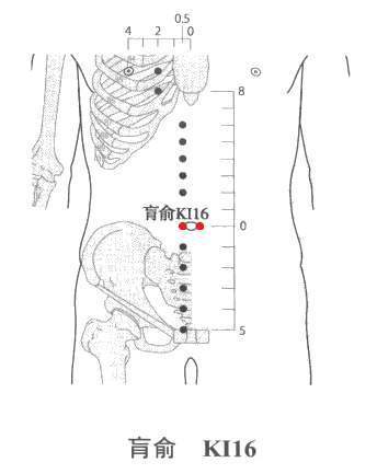 经验|揉“脐周”,能揉走一身湿气!名家经验,今天免费分享