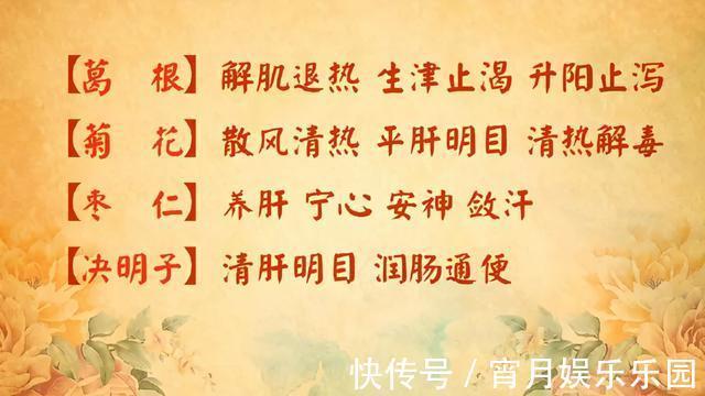 葛根|身边的“天然解毒王”!每天吃一点,健脾祛湿、给肝脏洗洗澡