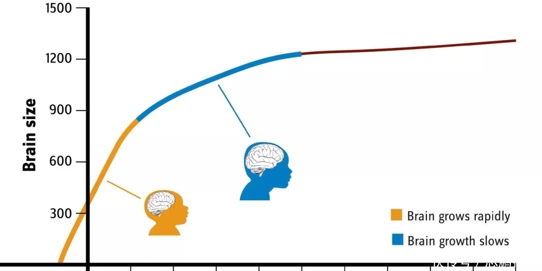 逻辑思维|黄磊6岁女儿“自制食谱”笑喷网友:逻辑思维强的娃,一出手就赢了