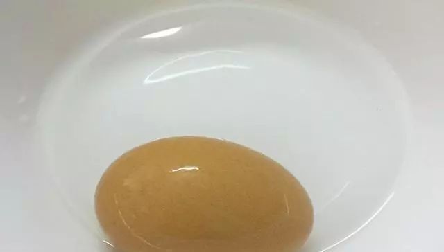 新手|只要5个蛋,能把整个鱼塘钓光光,莫不信,新手用了一天钓258斤