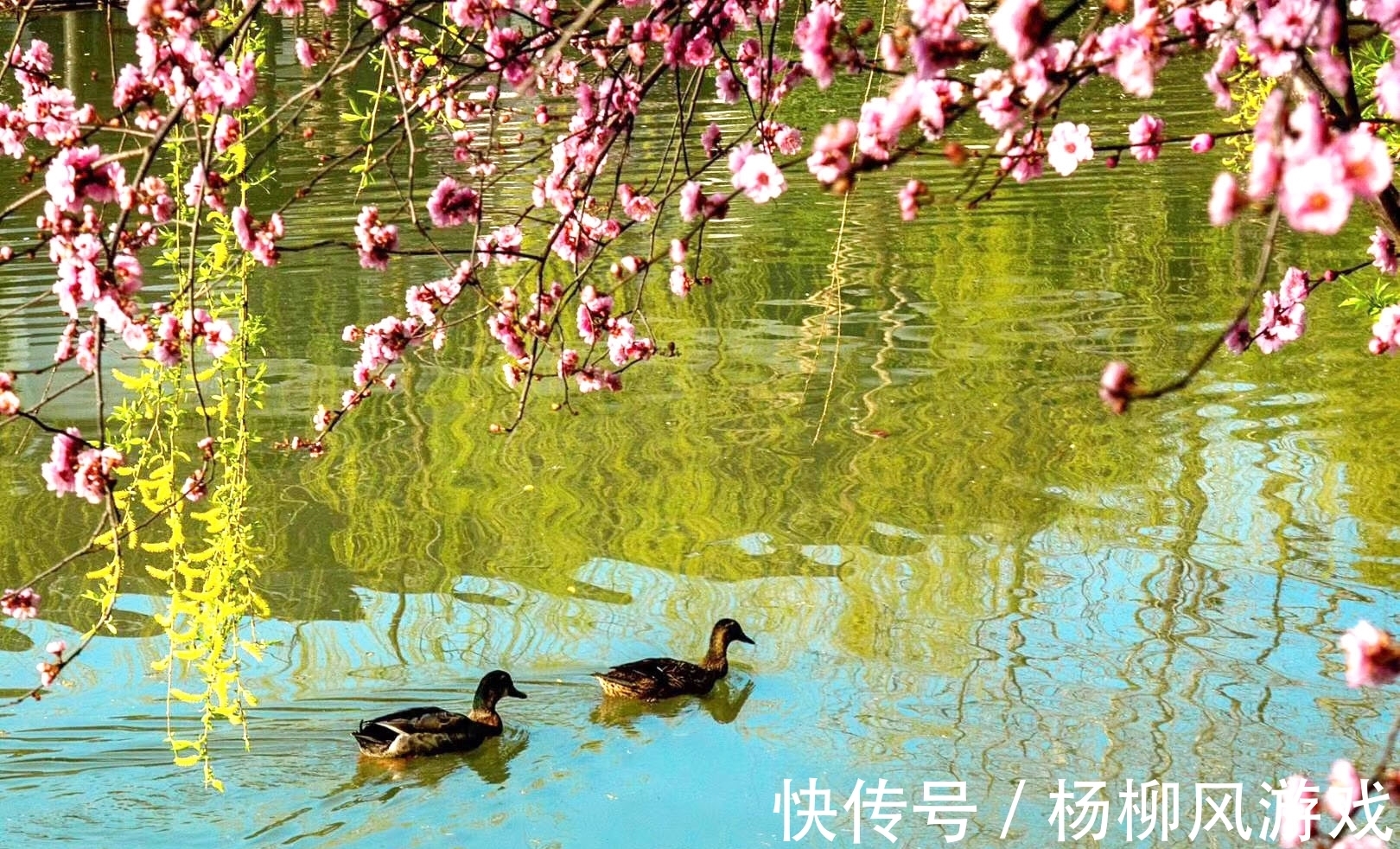 浣花词$凝恨对残晖,忆君君不知——韦庄的词情意缠绵,十分感人