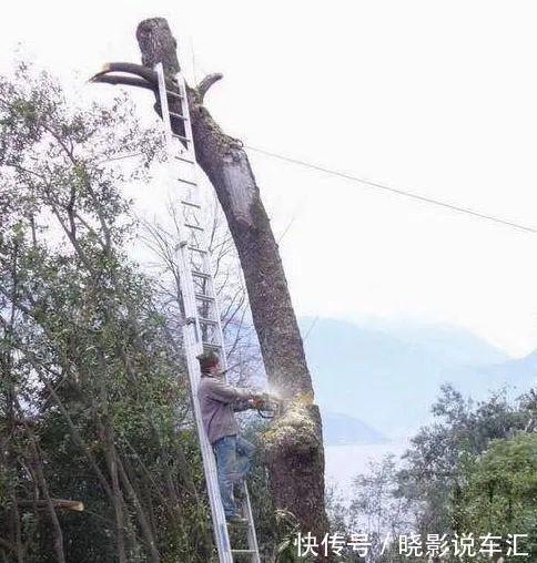 |搞笑GIF:这刁孩子,没啥你要吃啥