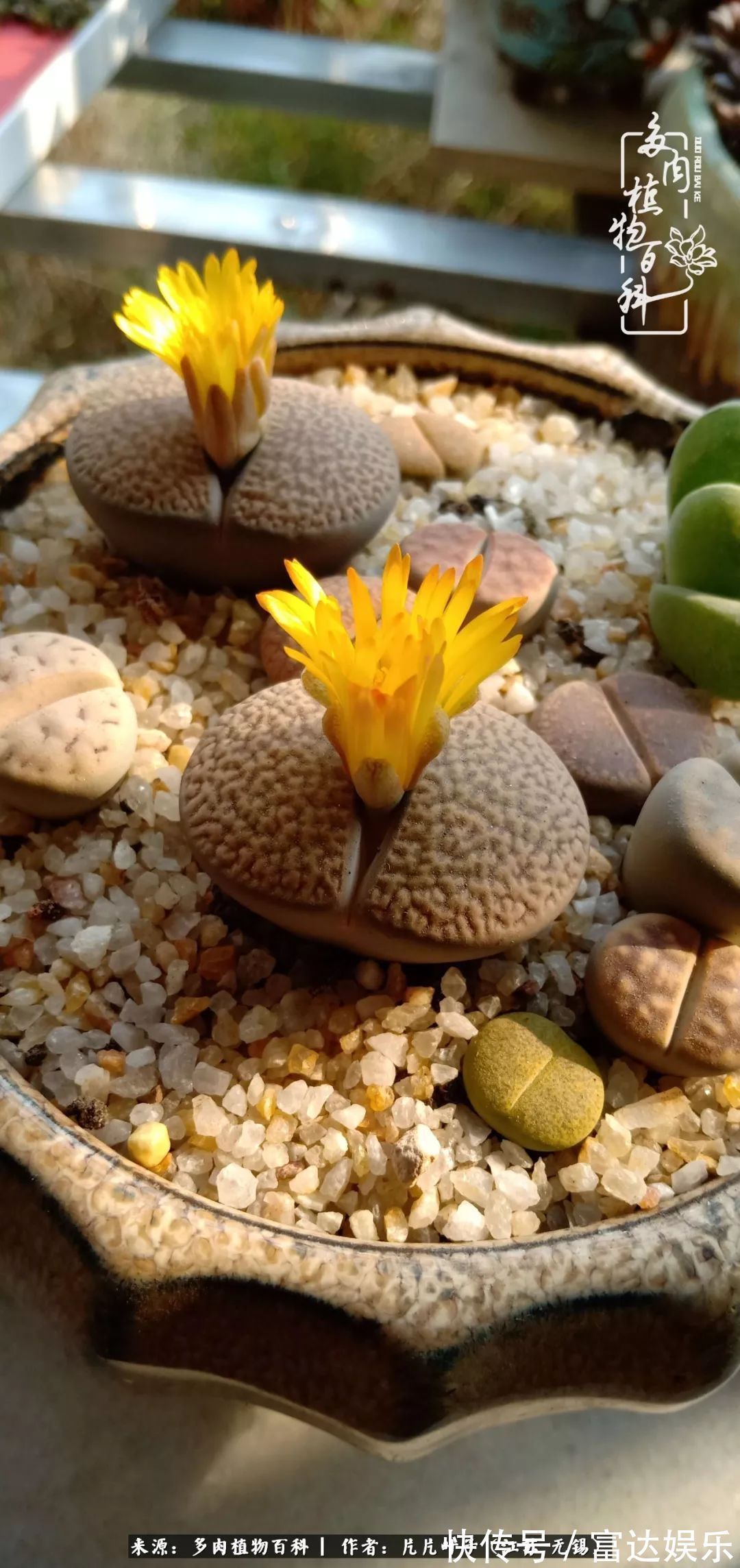 养肉路上，累并快乐着！时光不语，静待花开！