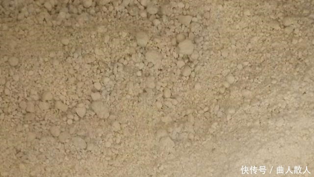 花朵|三角梅开花少,一种粉末埋土里,枝条长得壮,花朵开爆盆!