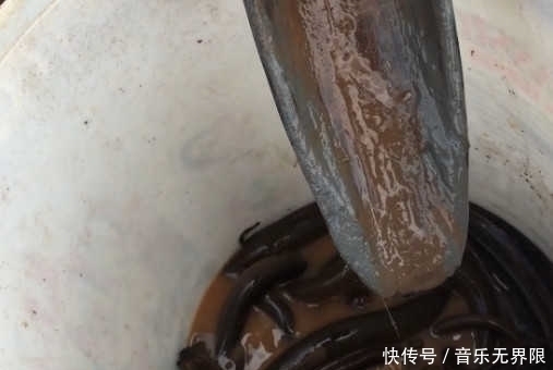 竹竿|男子将竹竿插入水中抓鱼,遭同行村民嘲笑,结果收获不少好东西
