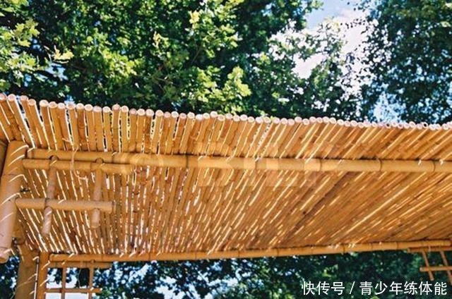 小院搭个漂亮的廊架,根本用不着钢管,砍几根竹子结实耐用十多年!