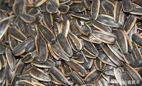  为什么超市的散装瓜子不会受潮你知道其中的奥秘吗