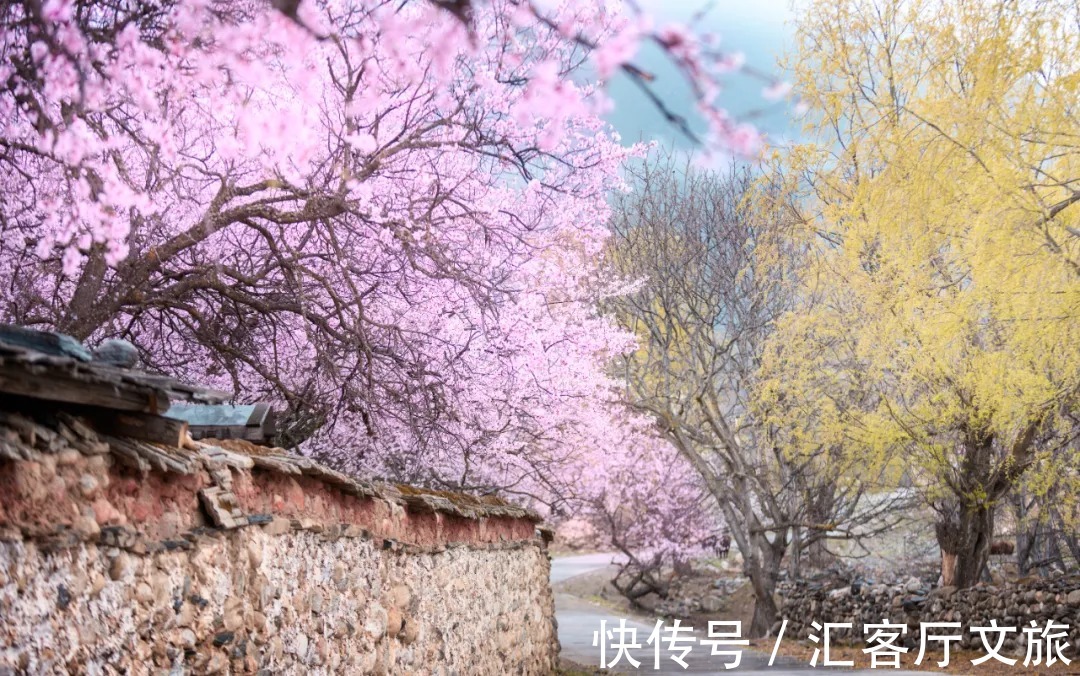 雪山|春天,让人憧憬的旅行目的地,莫过于去林芝看桃花!