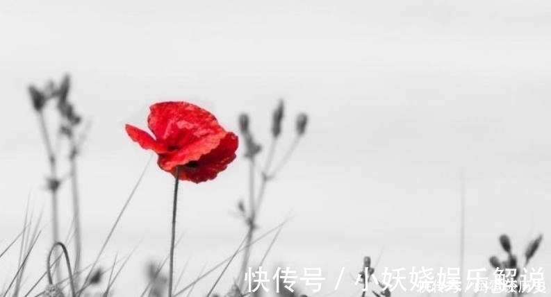 卢氏|纳兰性德在妻子逝世后,写下一首感人的词,开篇第一句震撼人心!