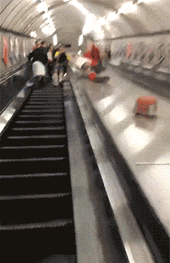 GIF|搞笑GIF:快看镜头,我要多拍几张留作纪念