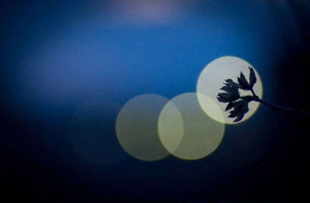 成功者&《道德经》:成功没有秘诀,但有原则;懂了原则,你也能成功!