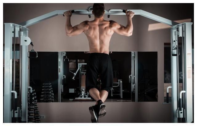 绳索|献给健身小白的六个经典背部训练动作,赶紧收藏,以后慢慢学