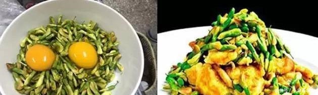 这5种花,个个好滋味,养的旺旺的,开一茬撸一茬,耐看又好吃