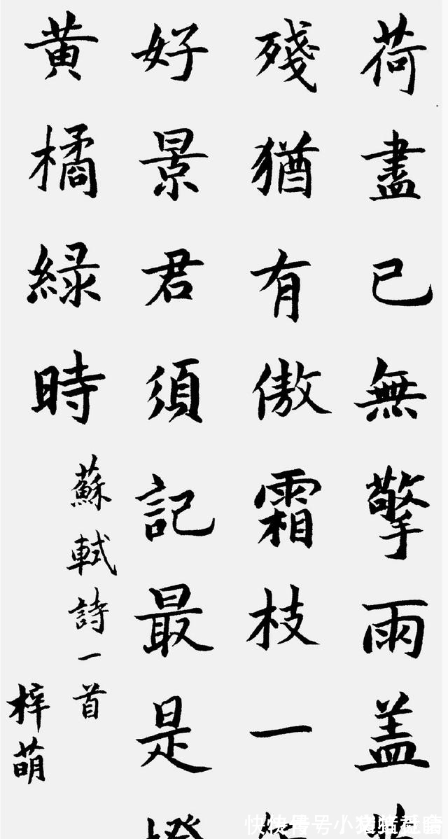 书法$央视三大未婚美女的书法各具魅力,堪称人美字牛,才气飞扬!