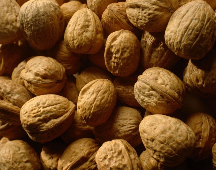 核桃|核桃壳不要扔了,用水煮一煮,能解决许多人的烦恼,大家来了解下