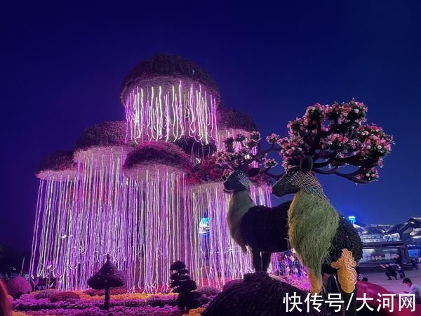 宋装|中国开封第39届菊花文化节｜百万株名品菊花邀你奇妙游清园