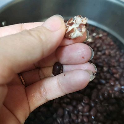 豆沙包|自己做豆沙