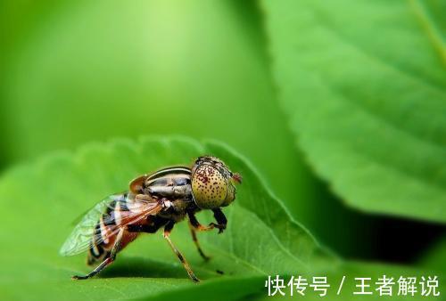 衰老|“吃得少,活得久”?饭量小的人,衰老速度更慢吗?听听医生咋说