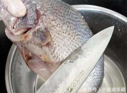 清蒸鱼时,有人放盐,有人放酱油,厨师长都不放教你正确做法