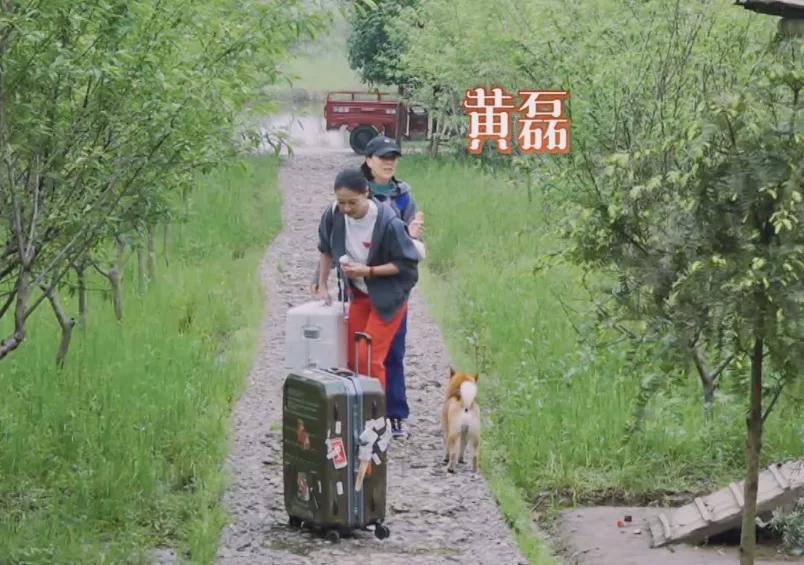 王迅|《向往》黄磊多次口无遮拦，嘴毒程度堪比那英，连张子枫都没躲过