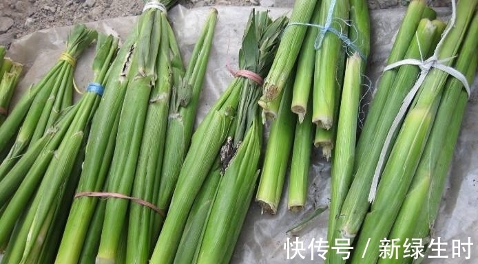 碳水化合物|女性不想被同龄人比下去,此物可多吃,淡化皱纹,肌肤也细腻