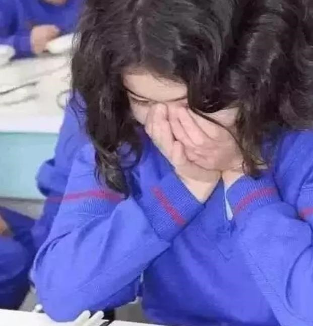 宠物鸡|日本最“变态”的生命课亲自养,亲手杀,亲口吃,孩子崩溃大哭