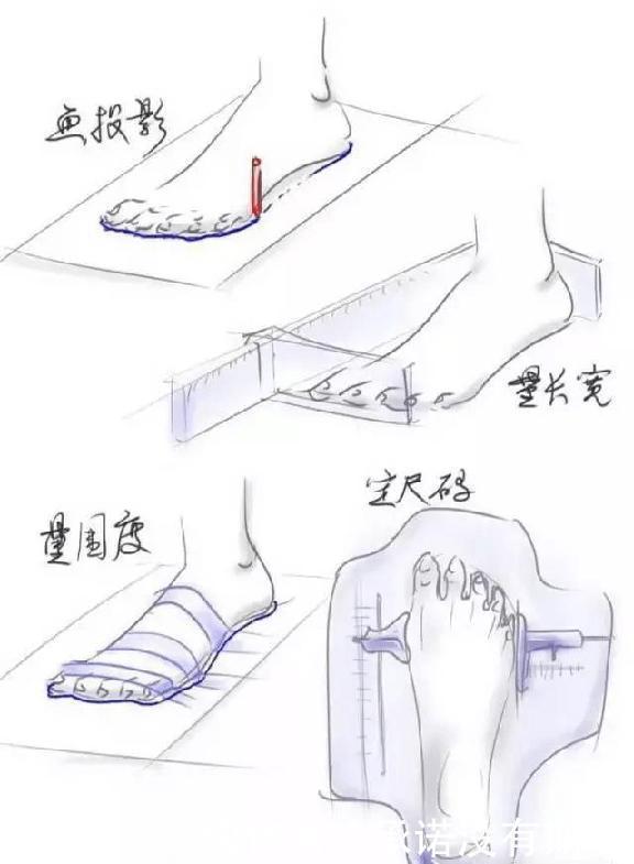 关于碳板跑鞋你了解吗为什么它能那么快，还那么贵