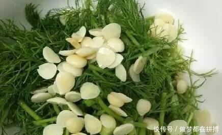 蔬菜|它是最厉害的绿叶蔬菜, 冬季吃它, 养阳驱寒, 还是胃病克星!