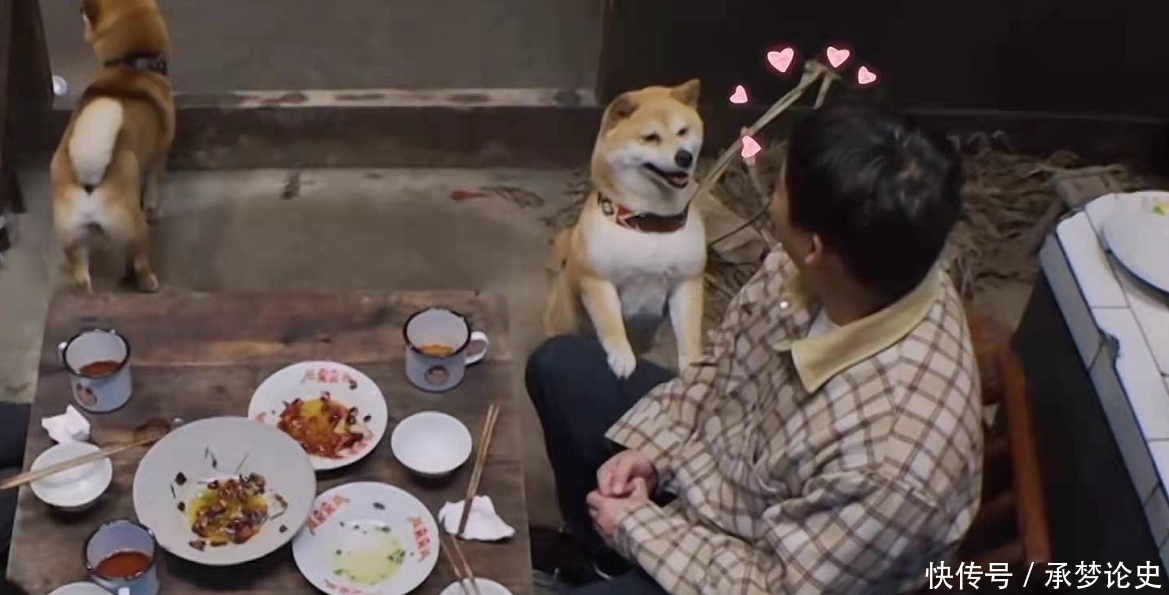 向往的生活|张艺兴带来的牛肉，打破了蘑菇屋的平衡，《向往的生活》变味了