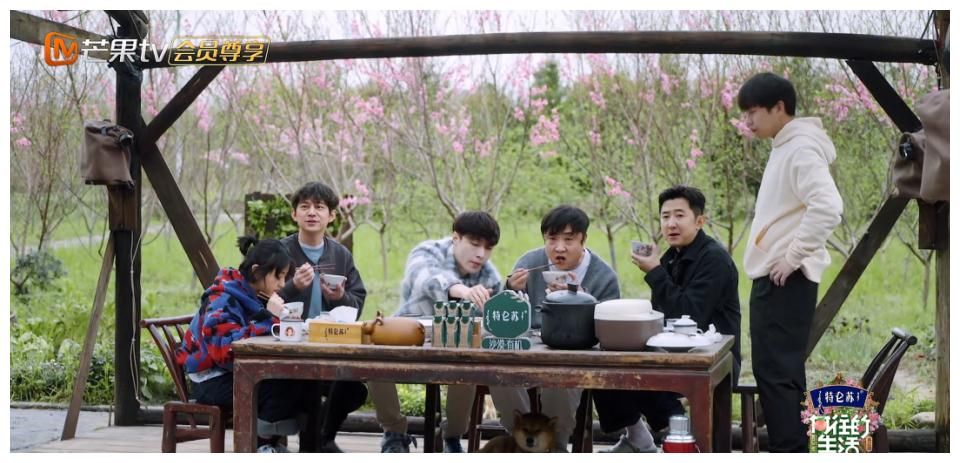 乔杉|看到张艺兴对黄磊乔杉的态度差距，才知他迫切加盟《向往》的原因