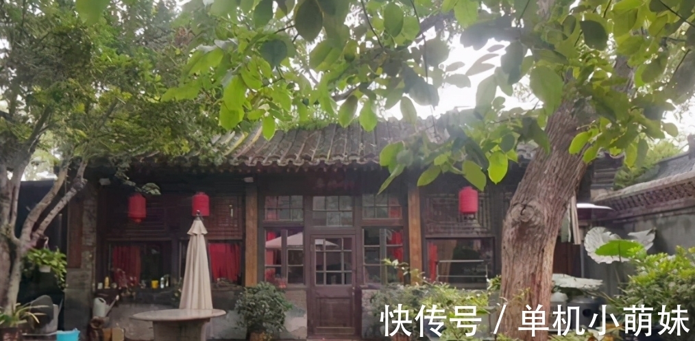 子孙|民间俗语“院中有五树，子孙一直富”，说的是什么树？依据是什么