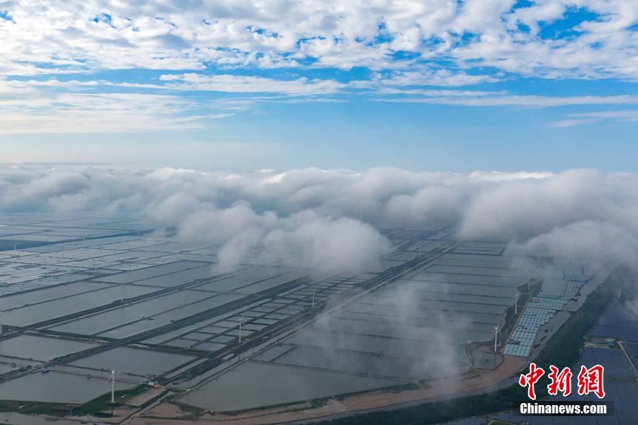 航拍江苏东台沿海生态滩涂云雾缭绕 风光 无限 全网搜