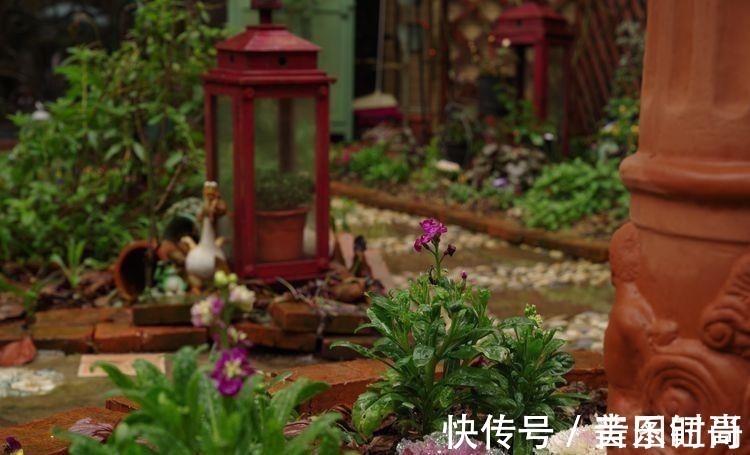 花园|荒废多年的80㎡小院,2年半时间打造成下沉式花园,太漂亮了!