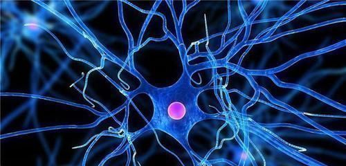 丈夫|预防脑梗并不难！牢记这4条“金准则”，坚持做，血管干净人长寿