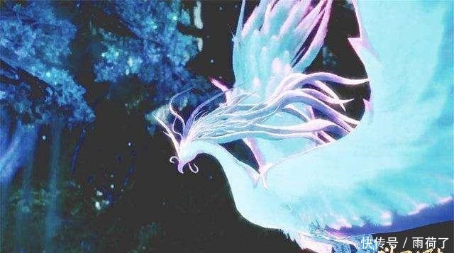 魂兽|斗罗大陆4种特殊的鸟类魂兽，一种不能突破十万年，一种为神兽