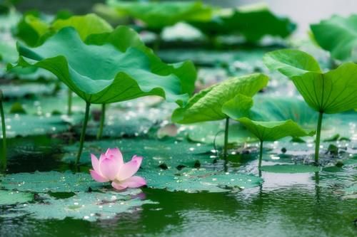 淮河|“千里淮河之滨 巍巍八公山麓”，四时风姿绰约四季皆有独特风景