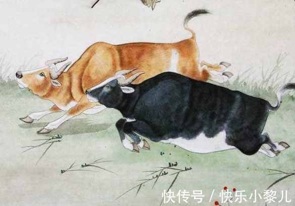 好运|年底一到,事业大顺,好运难挡,多福多寿,告别吃苦受累的3生肖