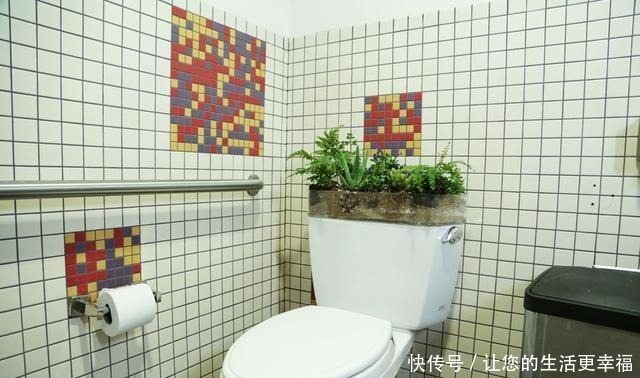 马桶盖一掀,水箱上种花除异味,垫上一条旧毛巾,一整年不要浇水!