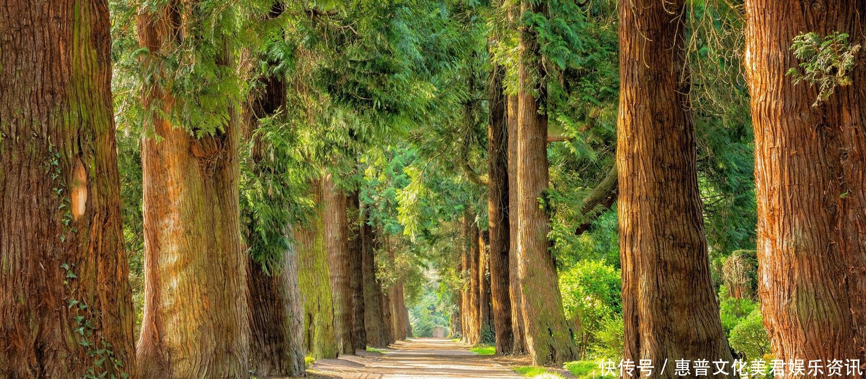 酿酒缸缸好|上联 “一日为日, 二日为昌, 三日为晶”, 下联这样对, 你觉得行么