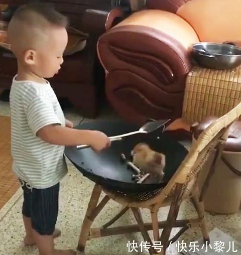 爷爷奶奶|2岁儿子偷偷学做菜,为妈妈“炒鸡”吃,妈妈看到后顿时笑喷