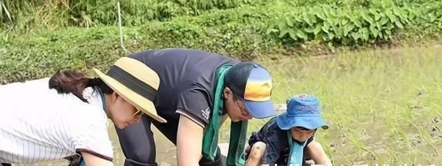 家庭|决定了孩子未来命运的,不是家庭贫富,而是父母对孩子的态度