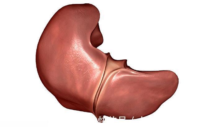 汗液|肝不好的人，身体会有2处发臭、2处变黄，这时就请注意多养肝脏