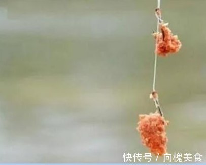 双钩的钩距应该多长最合适？钓鱼高手教你这样选，中鱼率能猛增