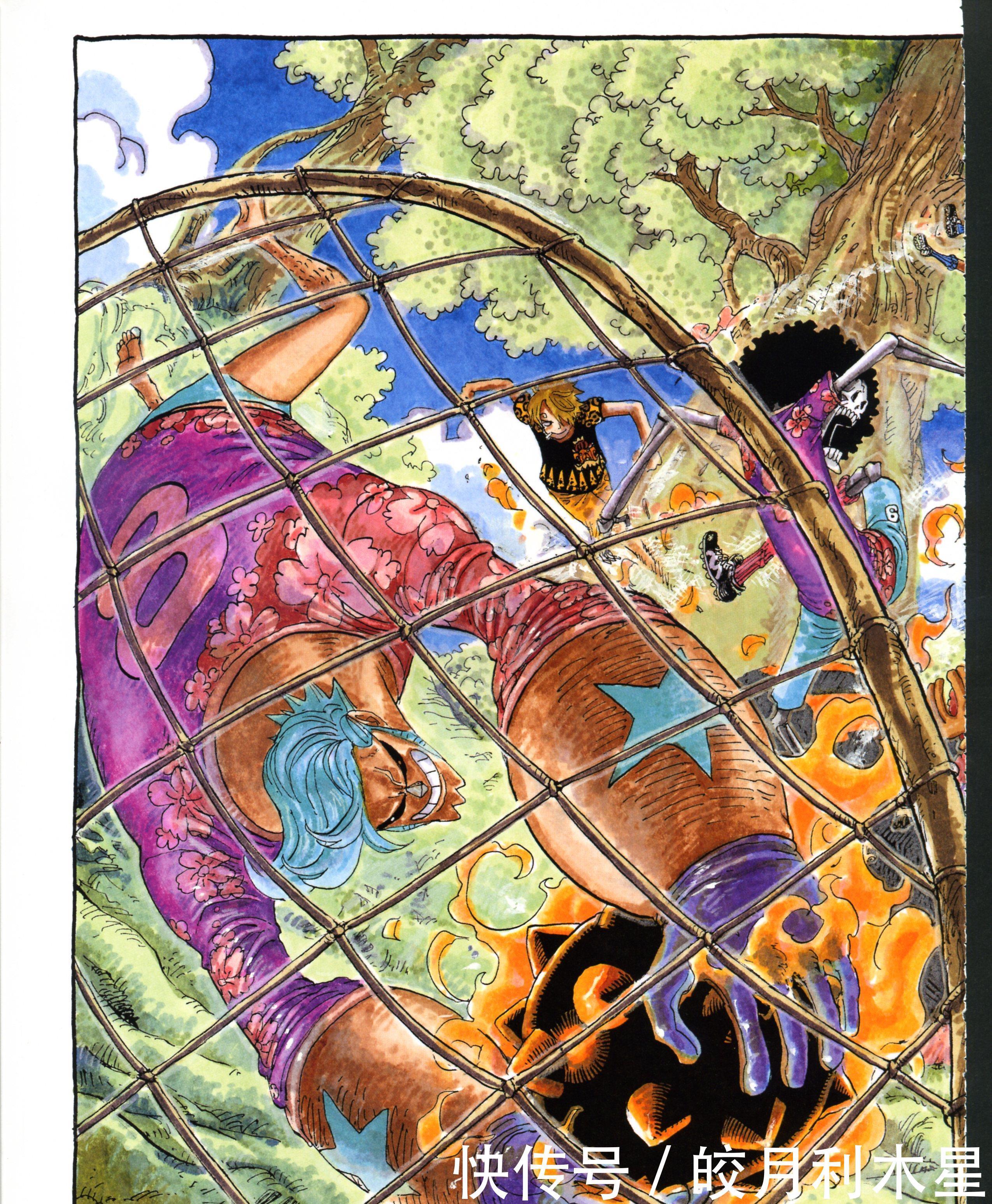 画廊|海贼王乌索普画廊大赏!