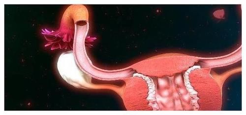 子宫|女人上厕所时，若没有这3种“症状”就偷着乐吧，子宫还很好！