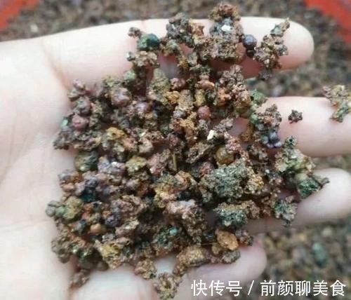 营养土还在买?3种东西混一混,变成万能花土,养啥旺啥!