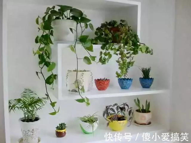 花园|3平米小阳台,也能变花园,有露台、阳台的千万别浪费!