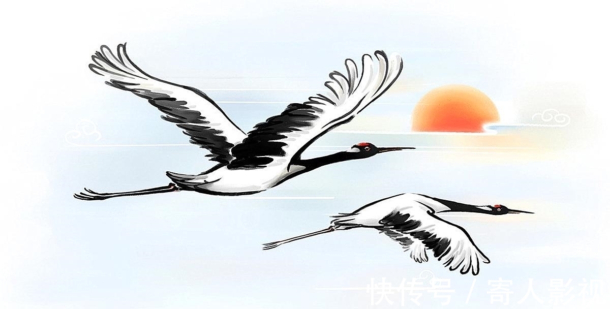 胡修&两只狐狸勤劳修炼 神仙却对他们说:只有一个人可以成仙